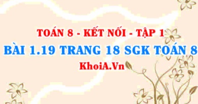 Bài 1.19 trang 18 SGK Toán 8 tập 1 Kết nối tri thức